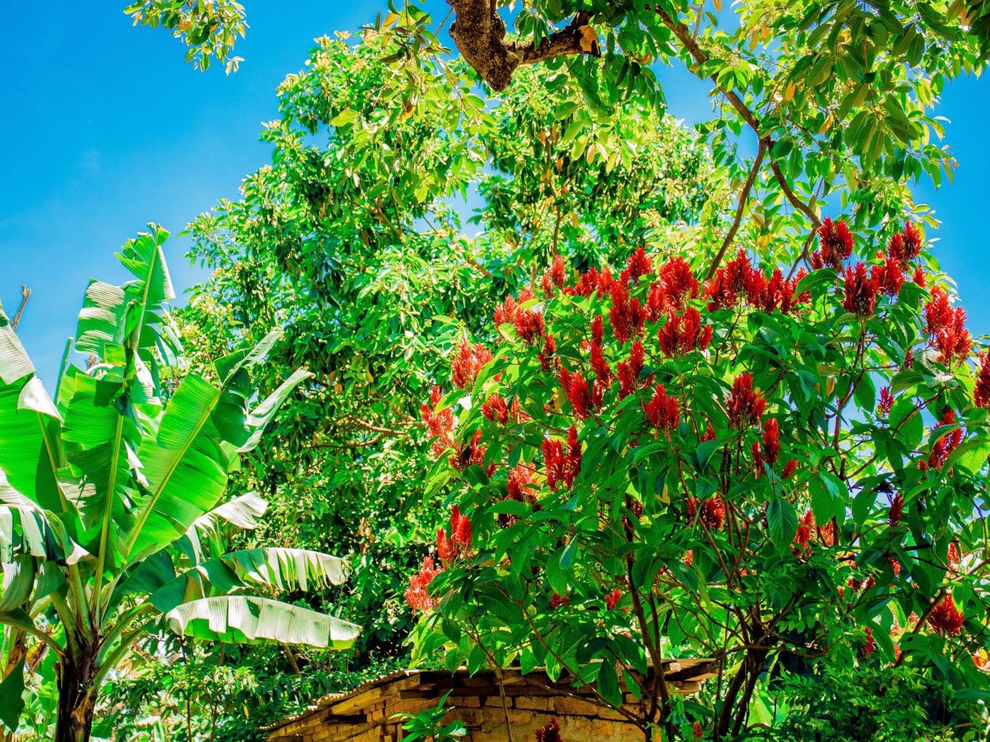 Arusha Jua Home Exterior foto